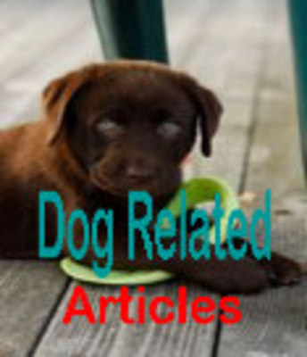 Product picture 50 Dog Related Articles
